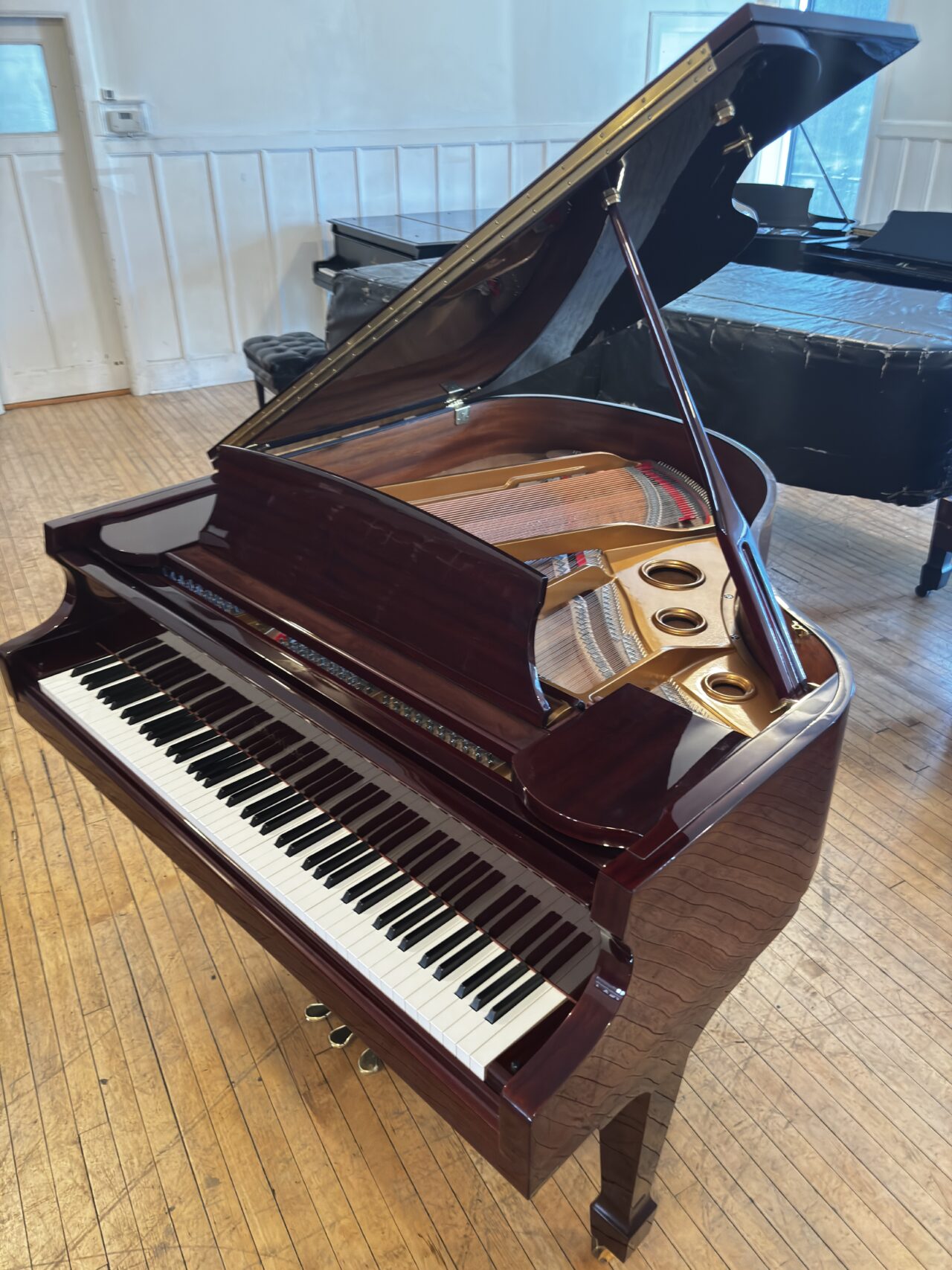 samick sig54 over head