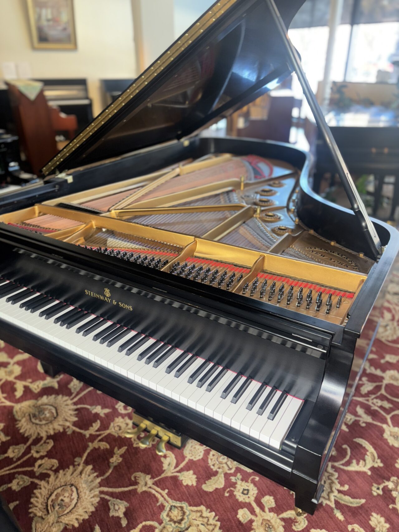 steinwayb #336345 overheadopen