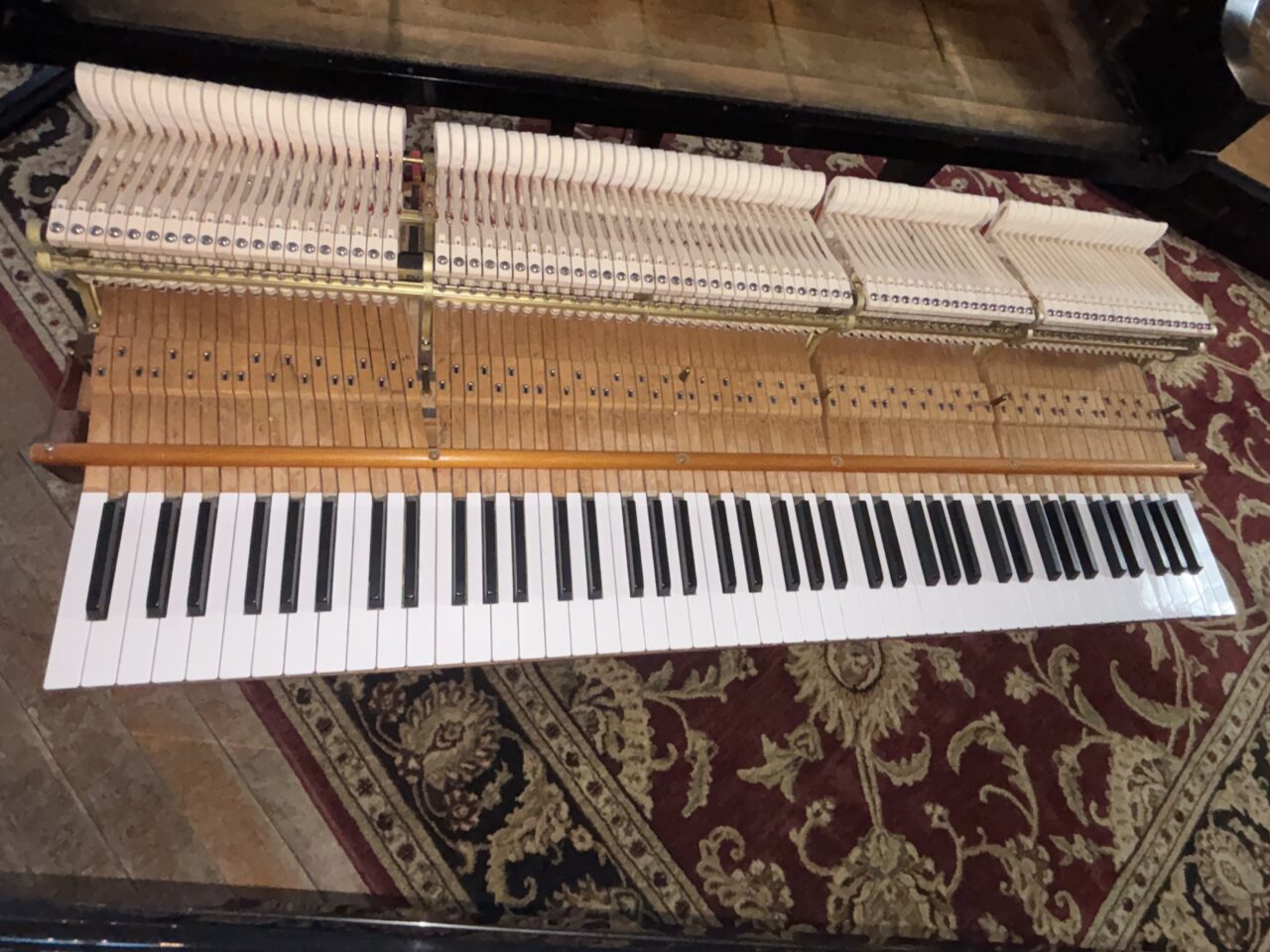 steinwayb #336345 whole action