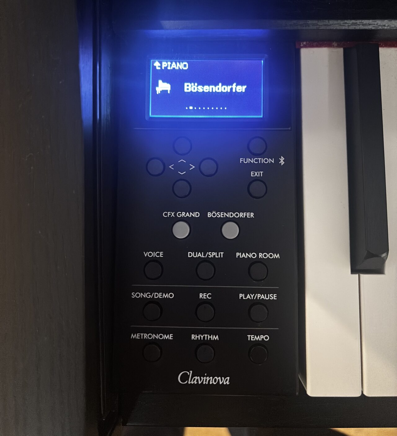 yamaha clp745 bosendorfer display shrunk