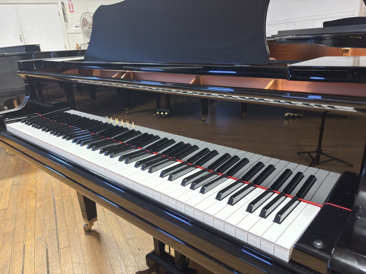 black gc1 close up fall board