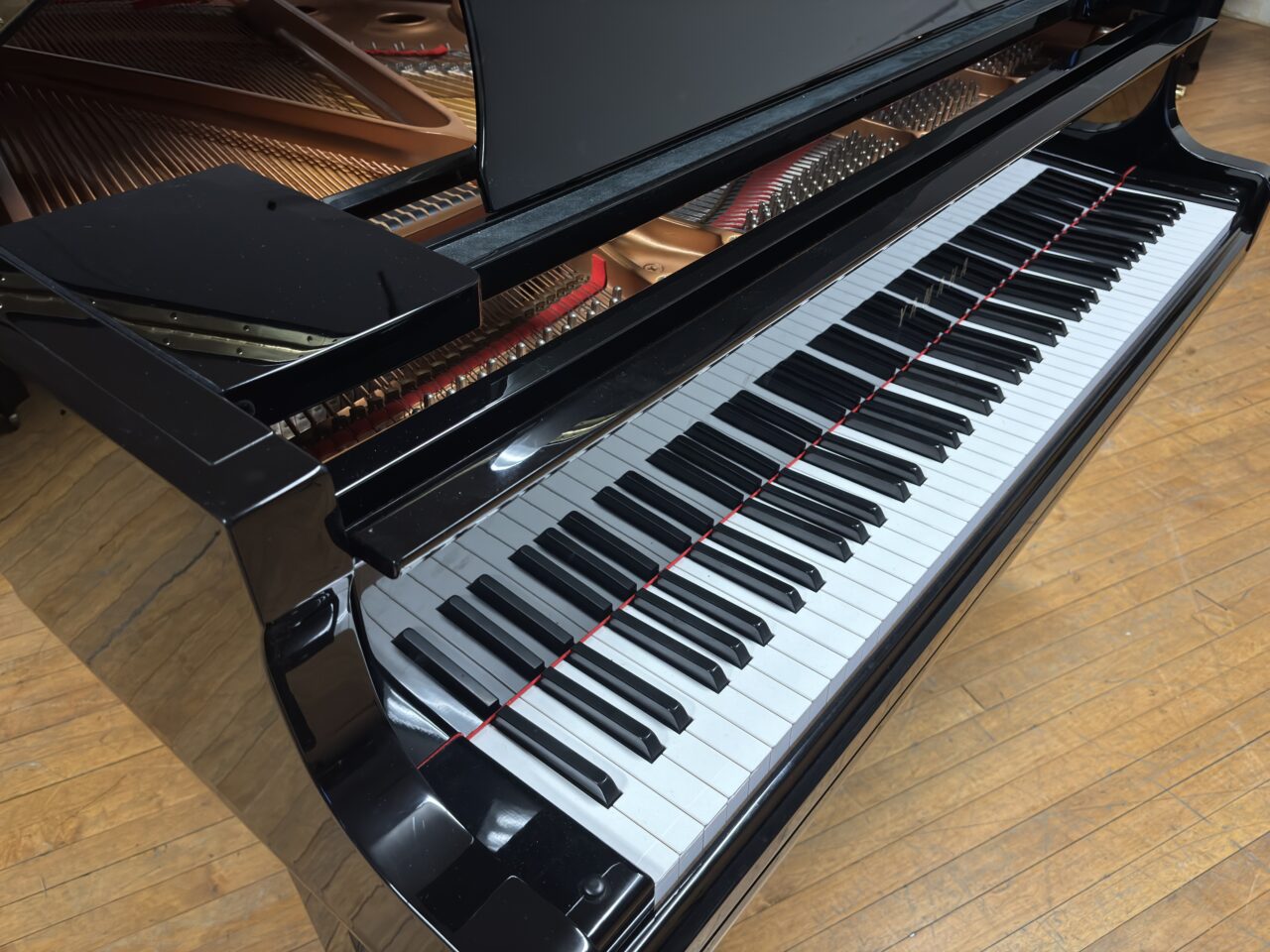 black gc1 close up keys