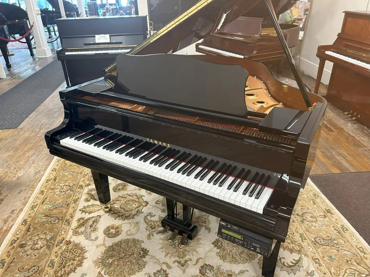 yamaha dgc1 good shot