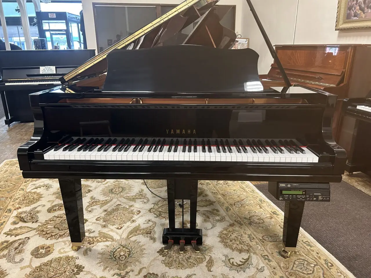 yamaha dgc1 playa front