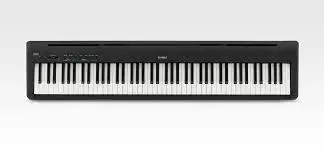 Kawai ES110