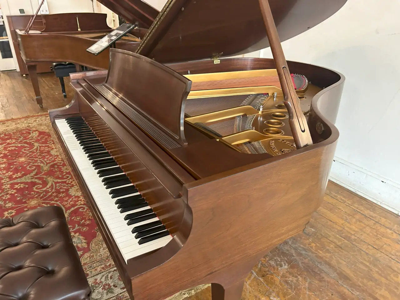 IMG_2796 SteinwayM 530577-11