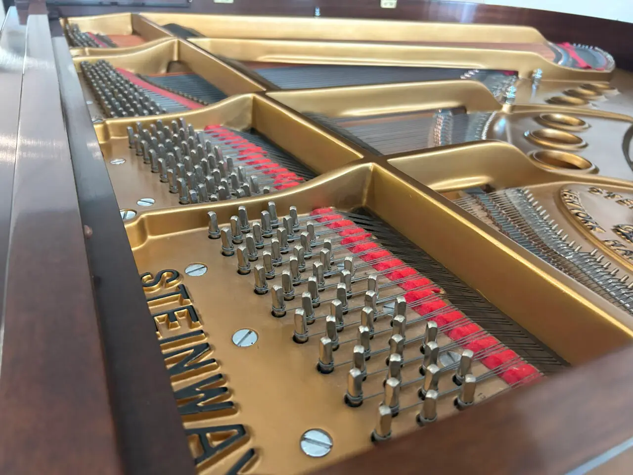 IMG_2799 SteinwayM 530577-9