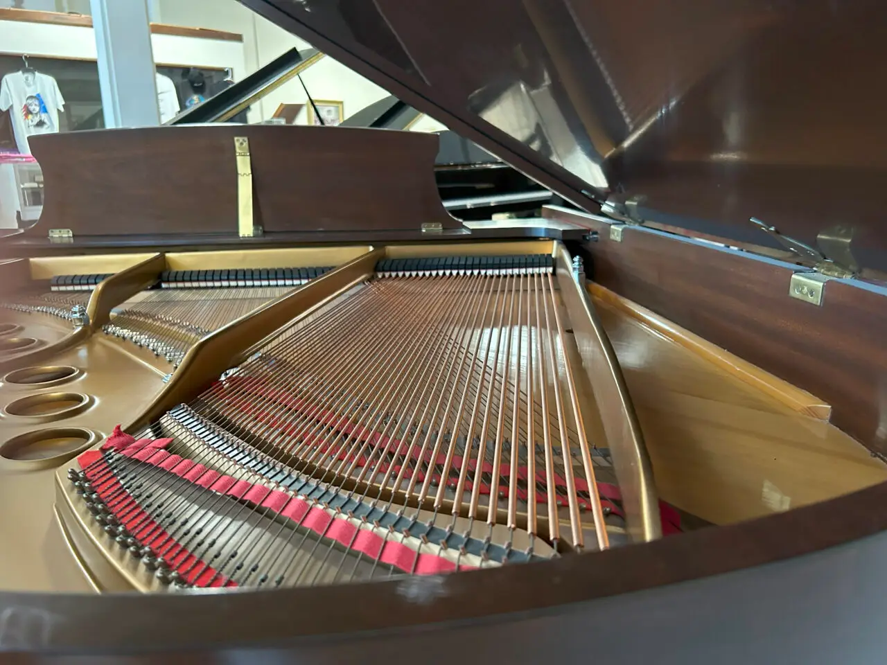 IMG_2816 SteinwayM 530577-1