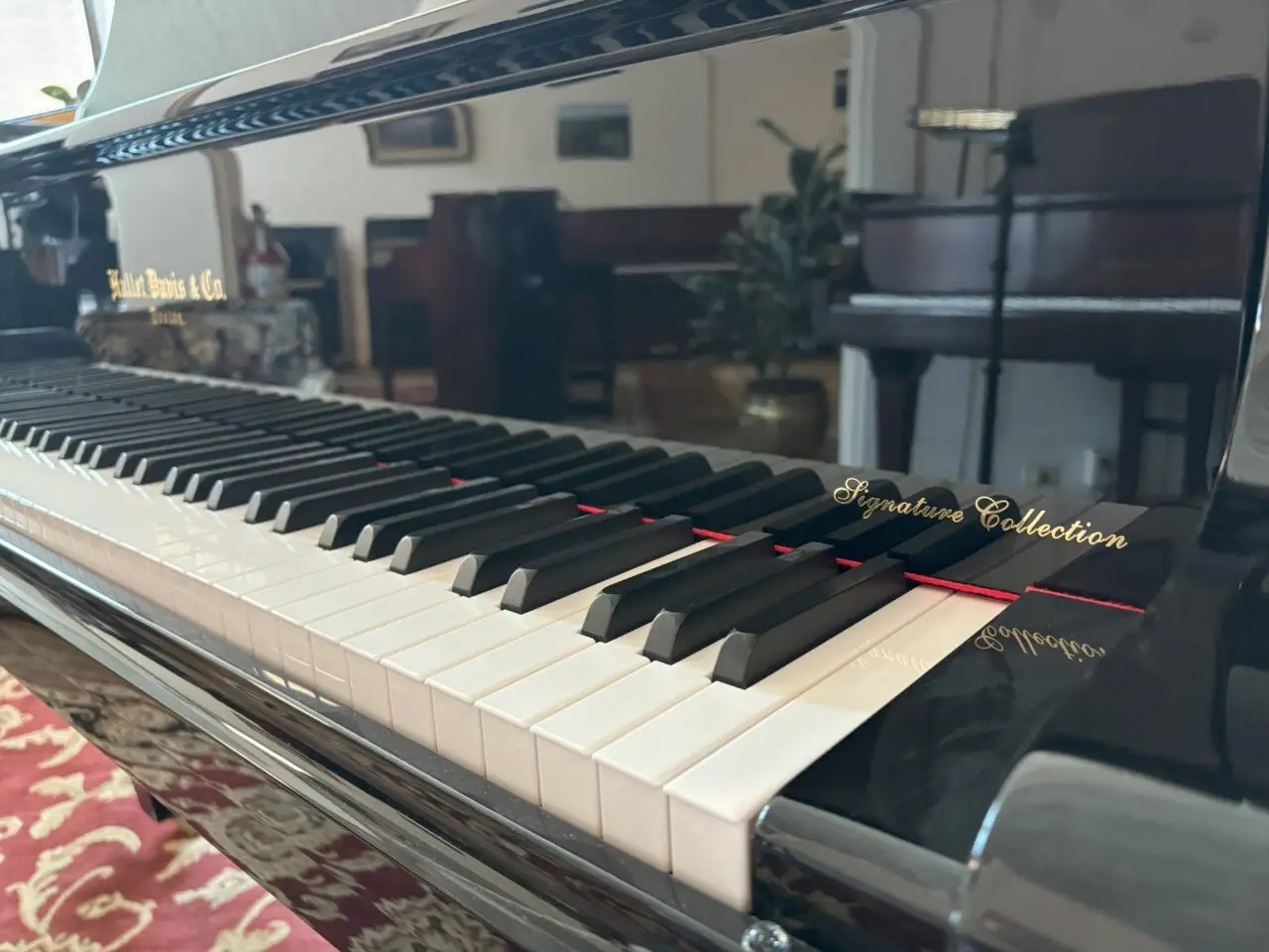 hallet davis singature series