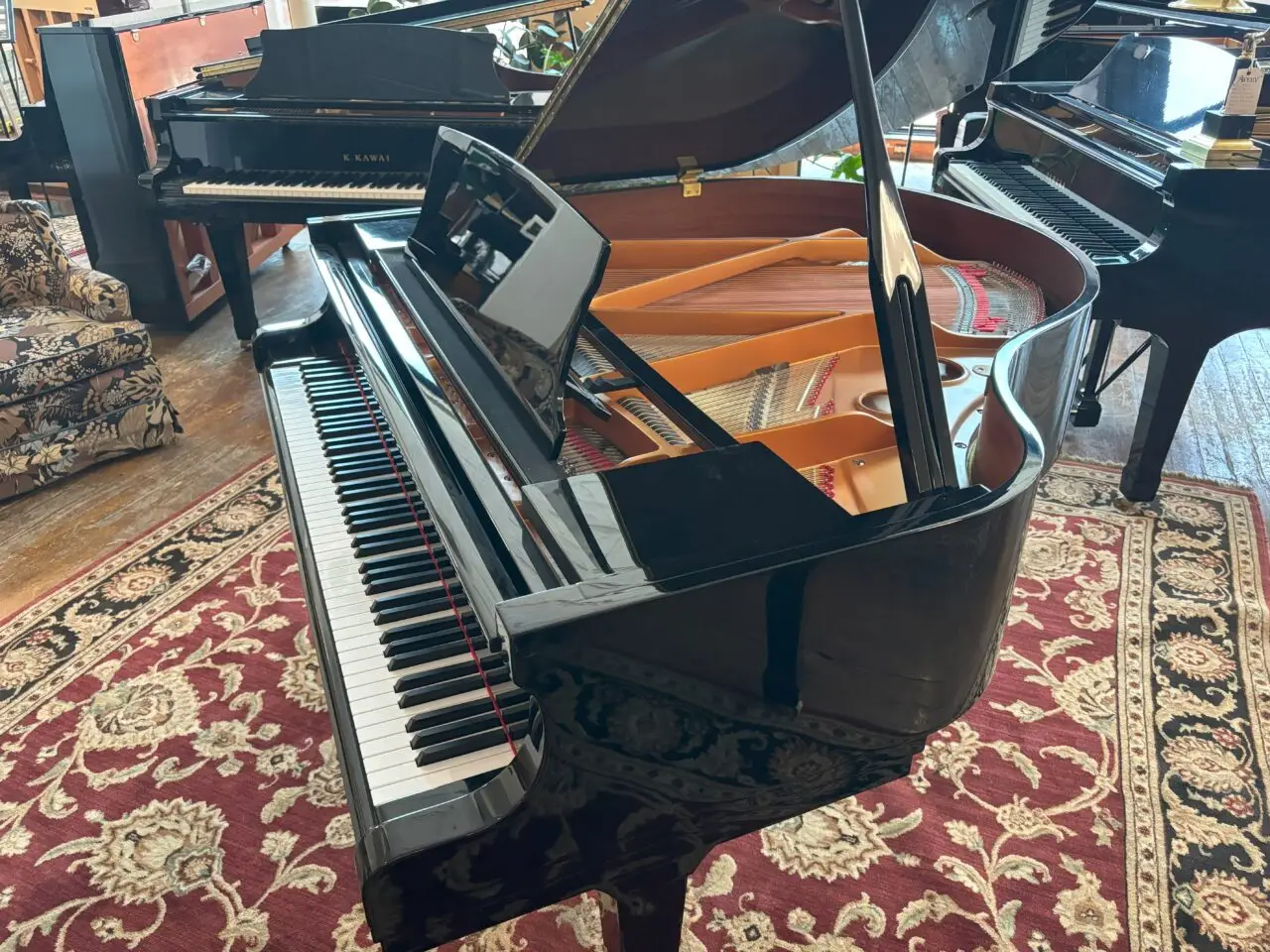 hallet player interior qrs