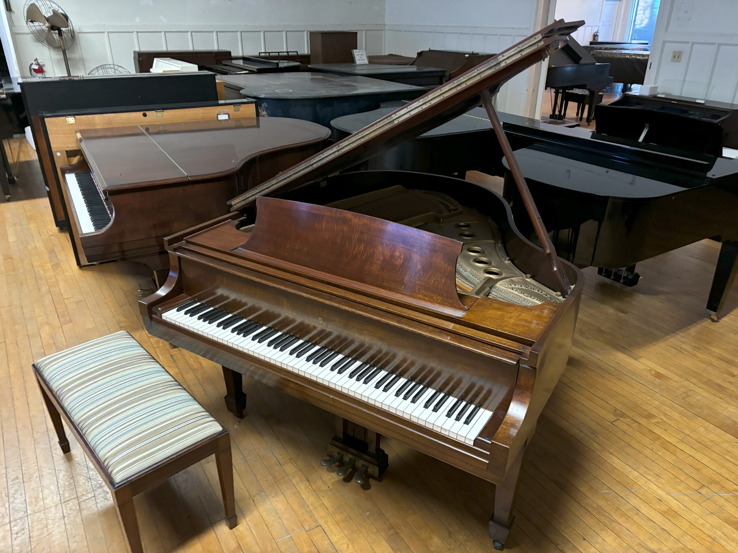 STEINWAY S