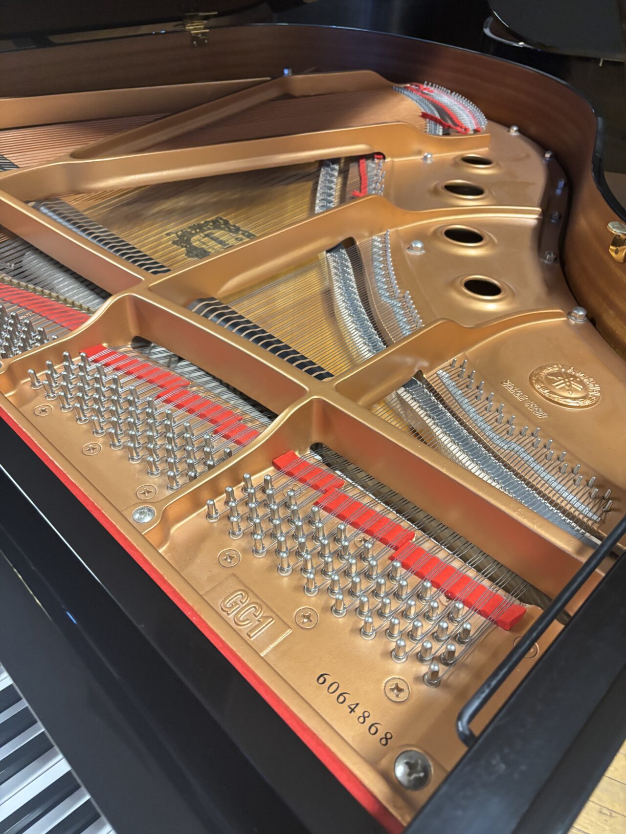 overhead inside gc1 black