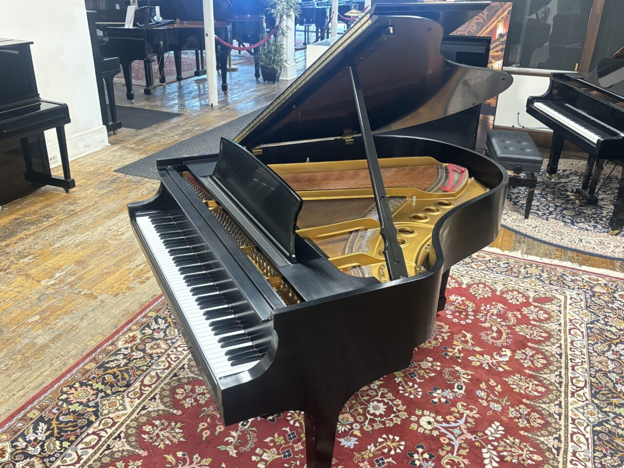 steinway m #526240 open curve